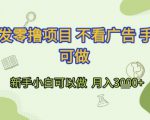 首发零撸项目 不看广告 手机可做 新手小白可以做  月入3k+【揭秘】