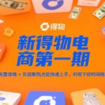 新得物电商第一期，完整攻略+实战案例，普通人也能快速上手，利用下班时间搞钱