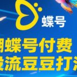 2025蝴蝶号付费投流豆豆打法，助新手快速掌握付费流量撬动自然流的核心玩法