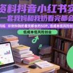 教辅资料抖音小红书实战营，这是一套我妈和我奶看完都会的SOP，低成本低风险创业