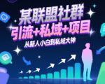 某联盟社群，引流+私域+项目，从新人小白到私域大神