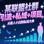某联盟社群，引流+私域+项目，从新人小白到私域大神