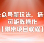 AI+公众号新玩法之培养型，可矩阵操作【附带项目教程】
