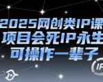 2025网创类IP课，项目会死IP永生，可操作一辈子