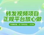 转发视频项目，正规平台放心做，不看播放量，无粉丝要求，发了就有收益，一天3张【揭秘】