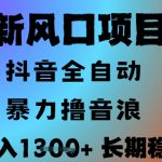 最新风口抖音无人直播撸音浪，全自动运行，小白可玩，长期稳定，日入1.3k，可批量收益翻倍【揭秘】