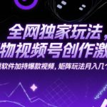 全网独家玩法，得物视频号创作激励 去重软件加持爆款视频，矩阵玩法月入几个w【揭秘】