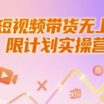 短视频带货无上限计划实操营，新人短视频带货工具流养号破播文案运营篇课程