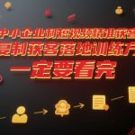 中小企业利用短视频精准获客，可复制获客落地训练方案，做好短视频，一定要看完