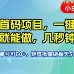 最新首码项目，一键拉新有手就能做，几秒钟一单，1个小时单号可60+，矩阵批量做每天5张【揭秘】