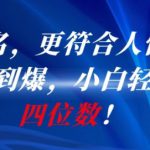 AI一键起名，更符合人性化，接单接到爆，小白轻松月入四位数!