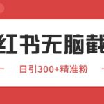 小红书截流同行客源，独家野路子获客玩法 日引200+暴力获客【揭秘】