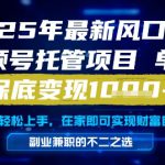 25年最新风口，视频号托管项目，单日保底变现1k+，手把手教学【揭秘】