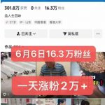 外面卖5000最新抖音搬运涨粉技术，新玩法，一分钟一条，一天涨粉2W，苹果安卓都可用