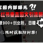 首富圈内部曝光小红书垂直图文引流新课，日吸300+创业粉，日入8张+，限时获取防封禁