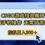 CSGO游戏挂G搬砖，小白纯手机即可操作，不用电脑打游戏，日入3张+，副业网创项目【揭秘】