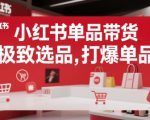 小红书单品带货，极致选品，打爆单品
