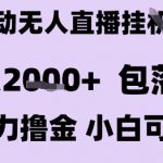最新全自动抖音无人直播挂G项目，日入2k+ 包落地暴力撸金，小白可做【揭秘】