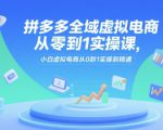 拼多多全域虚拟电商从零到1实操课，小白虚拟电商从0到1实操到精通