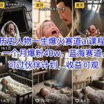 历史人物一生爆火赛道ai课程，一个月爆粉40w，蓝海赛道，可过伙伴计划，收益可观