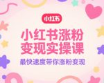 小红书涨粉变现实操课，最快速度带你涨粉变现