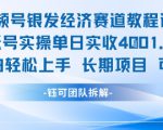 视频号银发经济赛道单账号实操单日实收1k+，小白轻松上手长期项目