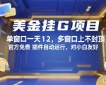 美金挂G项目，单窗口一天12，多窗口上不封顶，官方免费插件自动运行，对小白友好【揭秘】