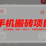 手机搬砖项目，有手就能做，亲测一小时几十，苹果安卓都可以