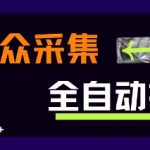 大众采集全自动玩法，新手小白轻松一天5张+，操作简单零成本【揭秘】