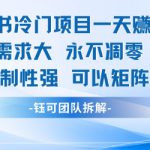 小红书冷门项目一天收益9张，市场需求大，0成本，可复制性强可以矩阵操作
