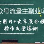 公众号流量主副业项目，美女图片+文章混合模式操作流量爆棚