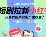短剧拉新小红书全运营教程，只要发视频就能产生收益，一单9-12不等