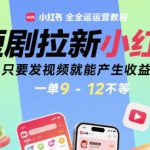 短剧拉新小红书全运营教程，只要发视频就能产生收益，一单9-12不等