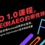 AEO 1.0 课程，从SEO到AE0的基命性转变，手把手教会你用AnswerEngineOptimization技术抢回流量