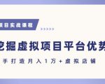 抓住虚拟项目各平台优势，新手轻松月入1W+(给出具体建议)