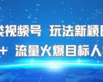 名著类视频号 玩法新颖日收益500+ 流量火爆目标人群广