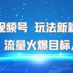 名著类视频号 玩法新颖日收益500+ 流量火爆目标人群广