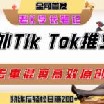 海外tiktok小说推文暴力项目，高停留率，高转化率，上手后一天搞顿饭钱不是问题