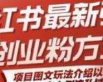 小红书最新引流创业粉方式，项目图文玩法介绍以及如何安全倒流私域