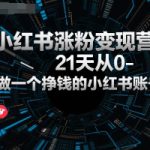 小红书涨粉变现营，21天从0-1做一个挣钱的小红书账号
