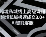 跨境私域线上高级课程，跨境私域极速成交3.0+Ai智能客服