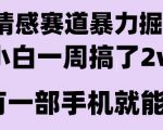 情感暴力掘金项目，新人操作一周挣了2W，长期稳定小白可做【揭秘】