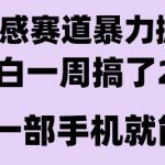 情感暴力掘金项目，新人操作一周挣了2W，长期稳定小白可做【揭秘】