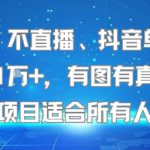不露脸、不直播、抖音单条视频日入1W+，有图有真相！这个项目适合所有人操作