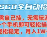 CSGO自动捡漏项目，最新独家玩法，一个手机可操作，新手小白轻松月入1W+，操作简单易上手【揭秘】