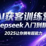 AI获客训练营，deepseek入门到精通，2025让你拥有超能力