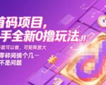 首码项目，快手全新0撸玩法，有快手就可以做，可矩阵放大，每天零碎时间搞个几张不是问题【揭秘】
