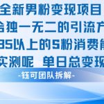 全新男粉变现项目引流人群35以上的男粉消费能力大 经过实测单日变现1k+