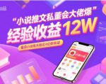 小说推文私董会大佬爆单经验分享收益12W，番茄小说每天稳定4位数收益