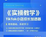 大卖家孵化中心TikTok实操课，TikTok小店成长加速器，跨境基础系统学习，一步一步带你开店